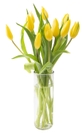 Fresh Yellow Tulips With Vase