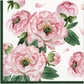 Pink-Peonies