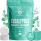 Eucalyptus