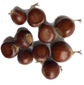 Chestnut - 5 Seeds