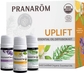 Uplift Diffusion Blend Kit