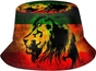 Jamaican Lion Flag -4