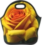 Yellow Rose Picture