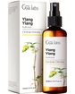 Ylang Ylang