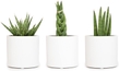 Ceramic White Pots