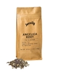 Angelica Root