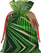 Palm Tree Leaves