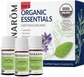 Top 3 Single Note Essential Oil Kit