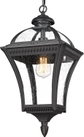 Black - Pendant Light