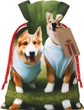 Wearing Clothes Corgi Dogs