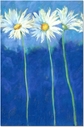 Daisies on Blue