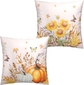 Pumpkin-04a-pillow Covers