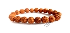 Plain Rudraksha