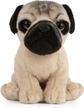 Pug