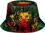 Jamaican Lion Flag -5