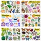 Nature Stickers for Kids