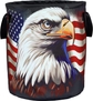 American Flag Eagle