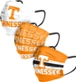 Tennessee Volunteers