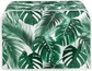 Green Palm Leaf