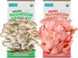 Mushroom Grow Kit