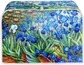 Van Gogh Irises Flower