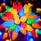 Multicolor 66ft 100LED