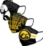 Iowa Hawkeyes