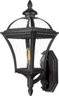 Black - Wall Light