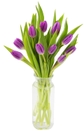 Fresh Purple Tulips With Vase