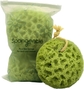 5) Body Sponge with Bonus Bag (3 Pack)