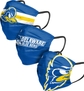 Delaware Fightin Blue Hens