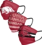 Arkansas Razorbacks