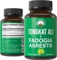 Tongkat Ali + Fadogia Agrestis