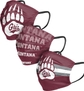 Montana Grizzlies