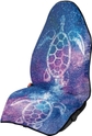 Sea Turtle Galaxy Space