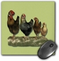 Rooster And Three Hens Of Different Size On A Green Gingham Background