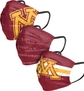 Minnesota Golden Gophers