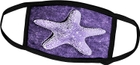 Purple Starfish