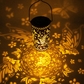 fairy lantern