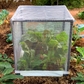 Plant Cover w/ Greenhouse Cover